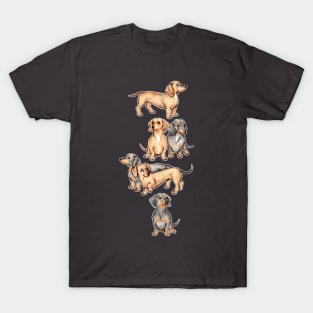 Dachshunds and Dogwood Blossoms T-Shirt